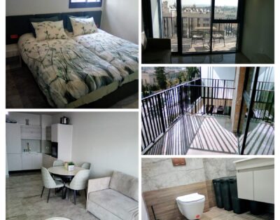 beautiful brand new apartment